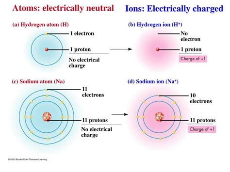 Atoms contain protons, electrons, and neutrons, among other subatomic particles. . B is a charge indicated on the neutral atoms if yes where is it located
